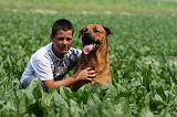 ENFANT ET CHIEN 378